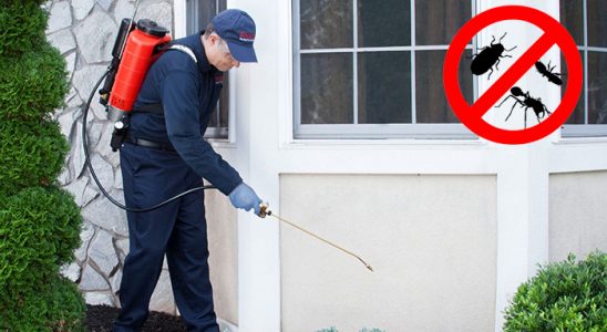 Afşin Hamam Böceği İlaçlama böcek ilaçlama ve haşere kontrolü — ilaclama-tr.com